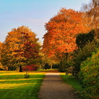 Auswahl für Foto des Monats November