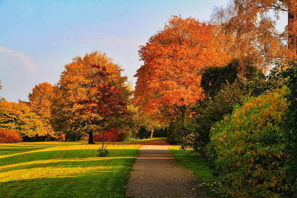 Auswahl für Foto des Monats November