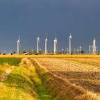 Auswahl für Foto des Monats November