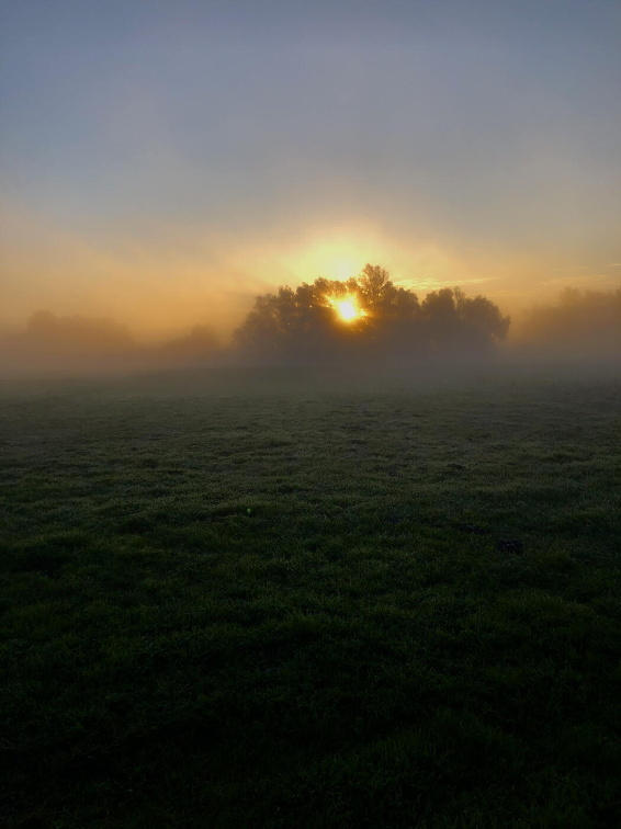 morgens  um acht