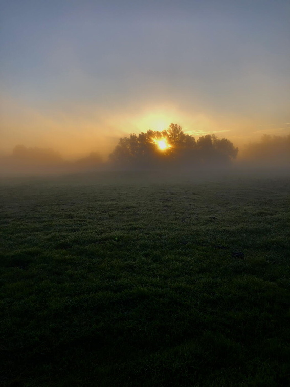 Morgens um  acht