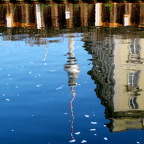 Auswahl Foto des Monats Dezember