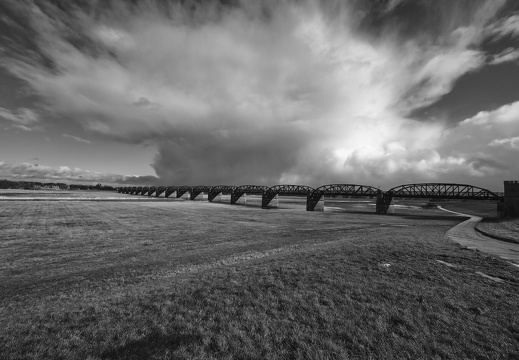 Auswahl Foto des Monats Januar