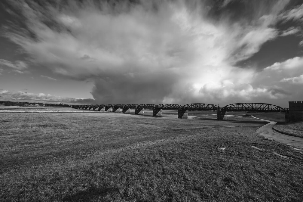 Auswahl Foto des Monats Januar