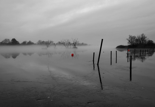Auswahl Foto des Monats Januar