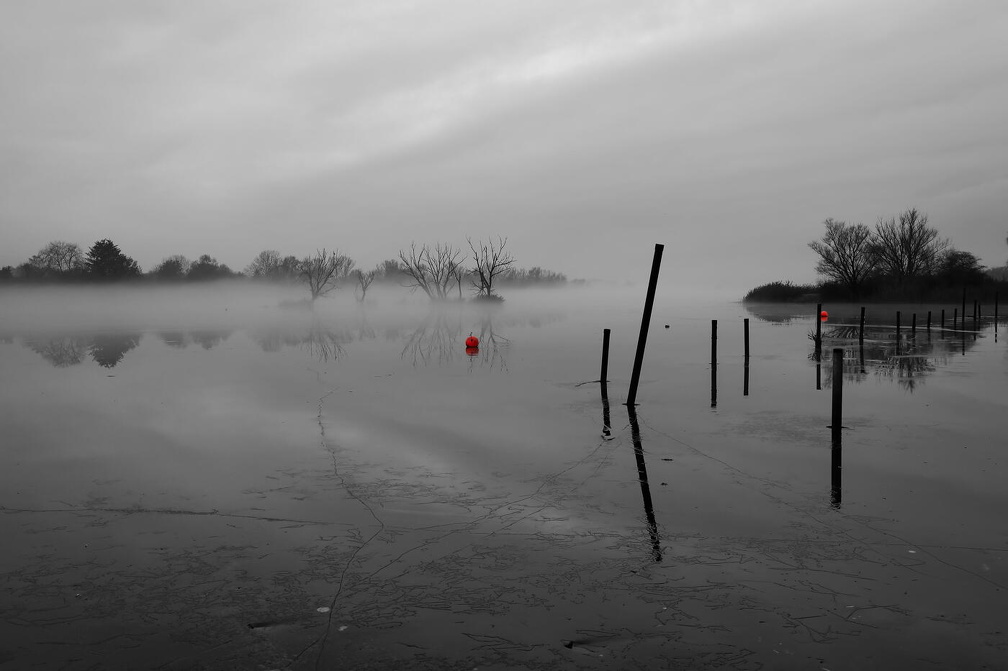 Auswahl Foto des Monats Januar