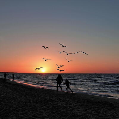 Vorschlag Foto des Monats