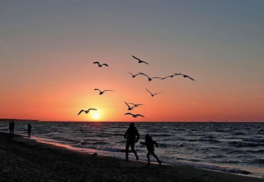 Vorschlag Foto des Monats