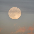 Vollmond - A1060183