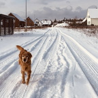 Auswahl Foto des Monats Februar