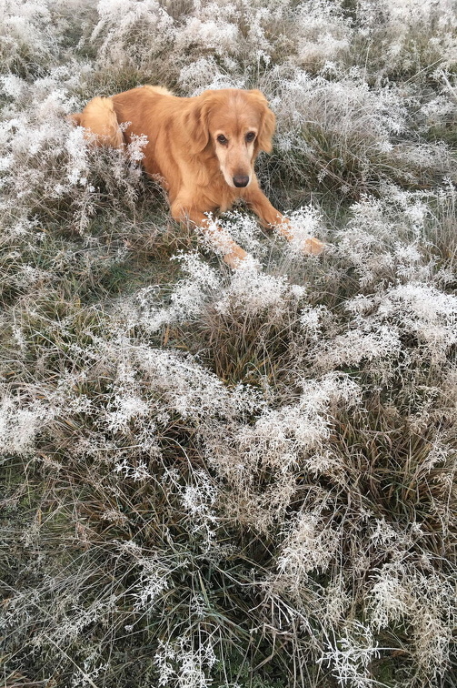 Auswahl Foto des Monats Februar