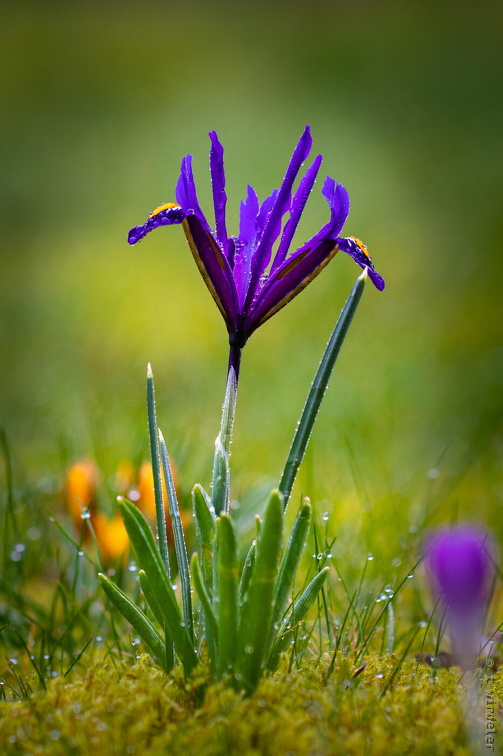 Der Frühling ist zurück