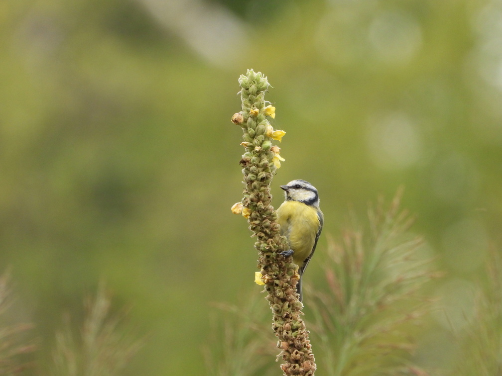 Auswahl Foto des Monats Mai 2023