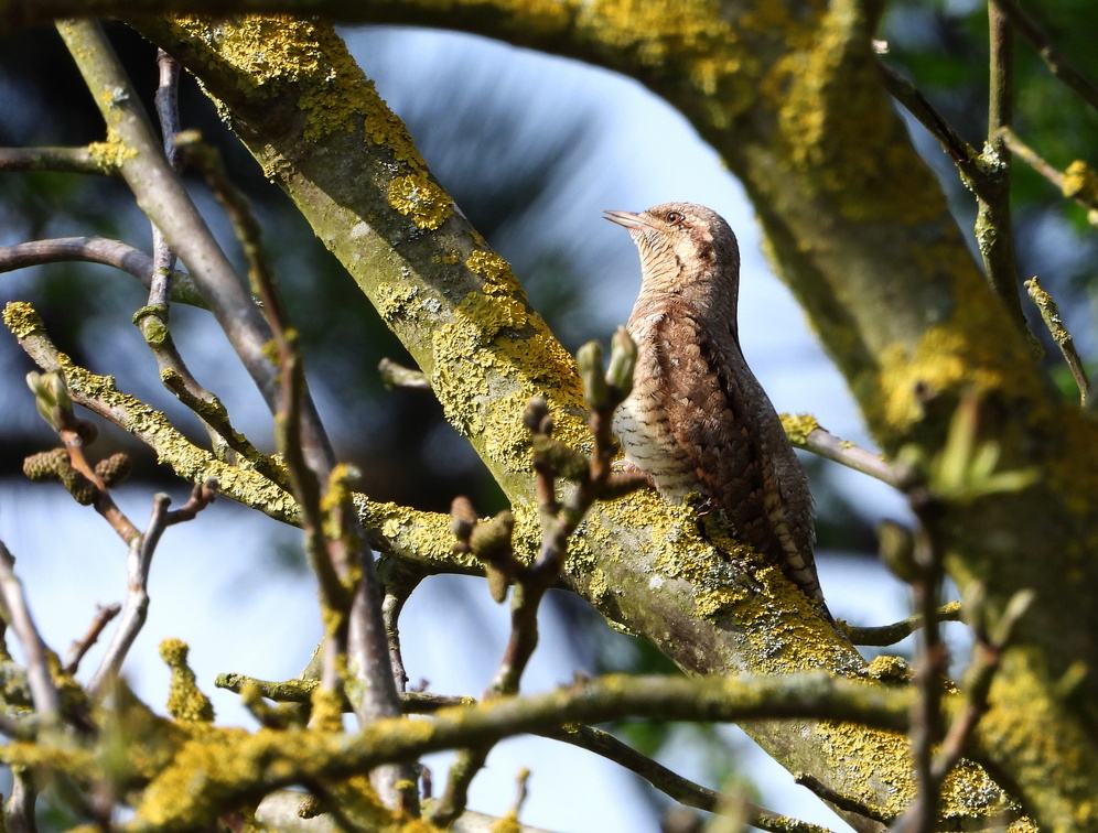 Auswahl Foto des Monats Mai 2023