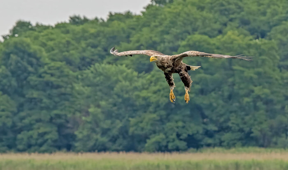 Foto des Monats August 2023