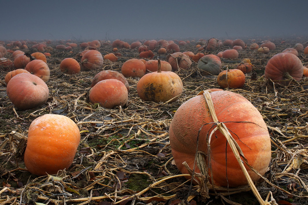 Foto des Monats Oktober 2023