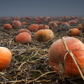 Foto des Monats Oktober 2023