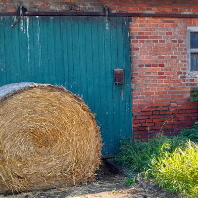 Foto des Monats November 2023