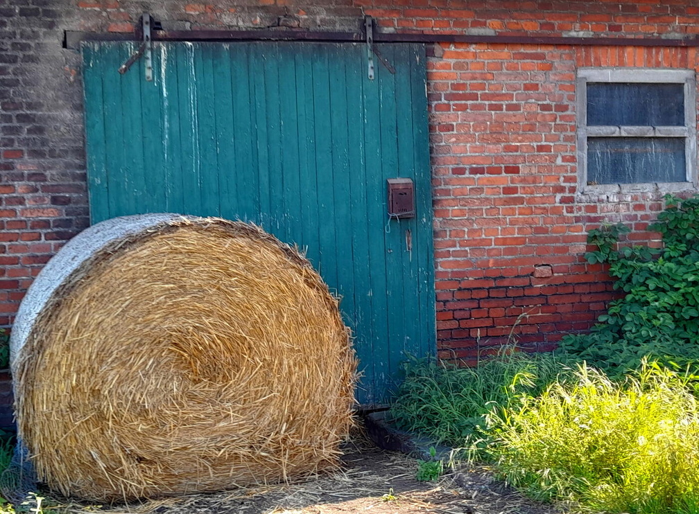 Auswahl zum Foto des Monats November