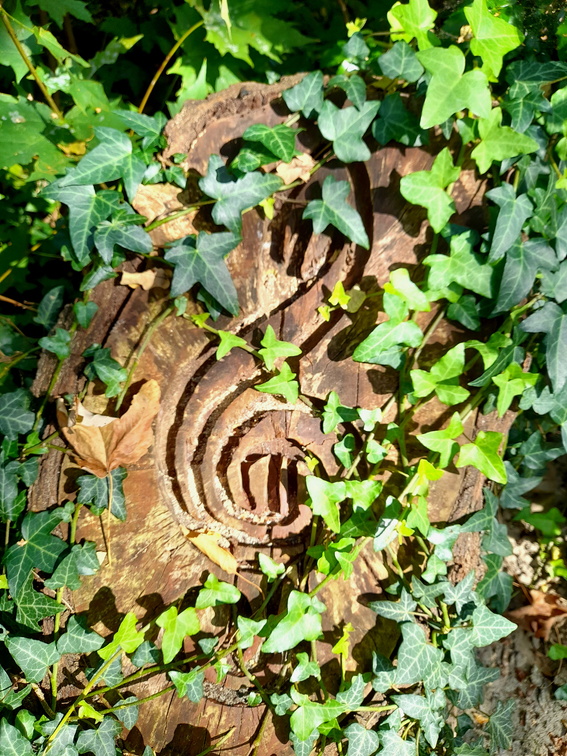 Auswahl zum Foto des Monats November