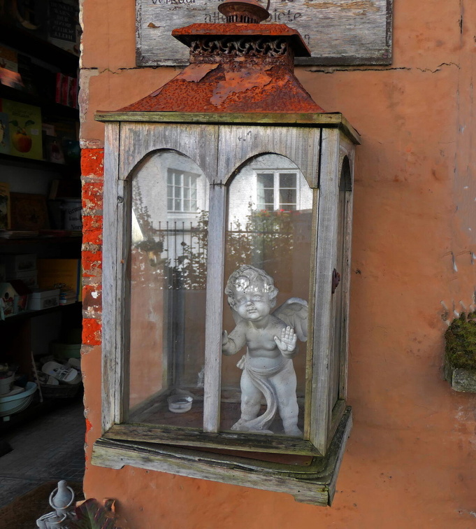 Auswahl  zum Foto des Monats Januar 2024