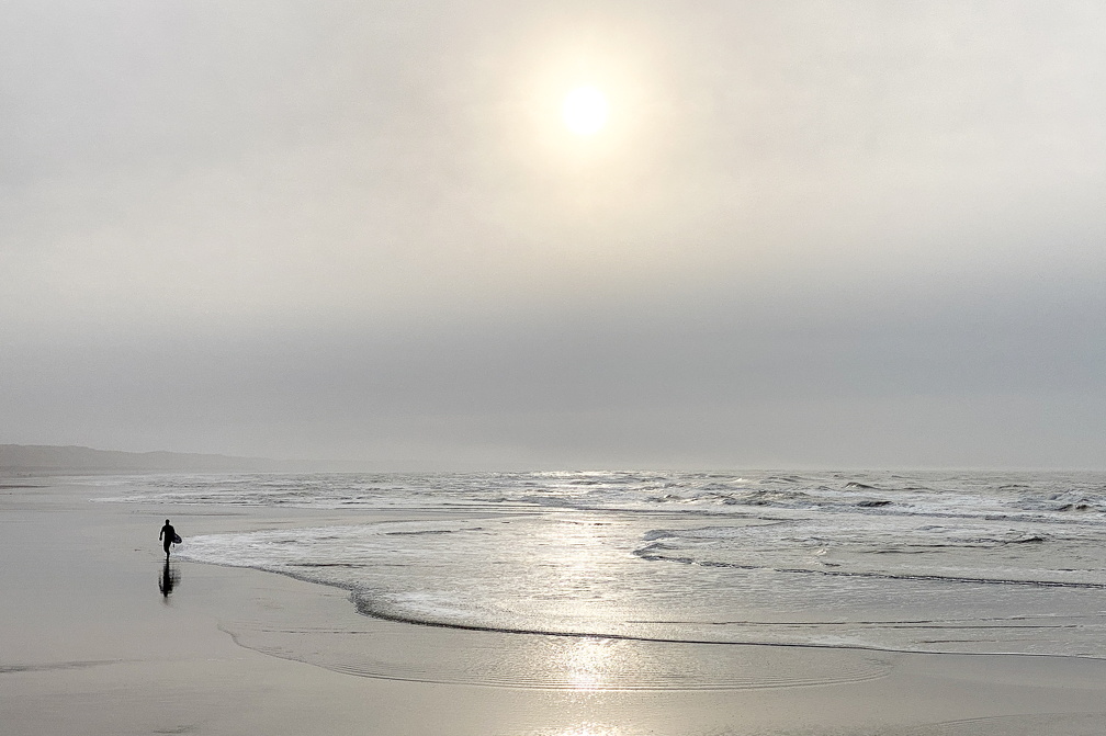 Auswahl  zum Foto des Monats Februar 2024