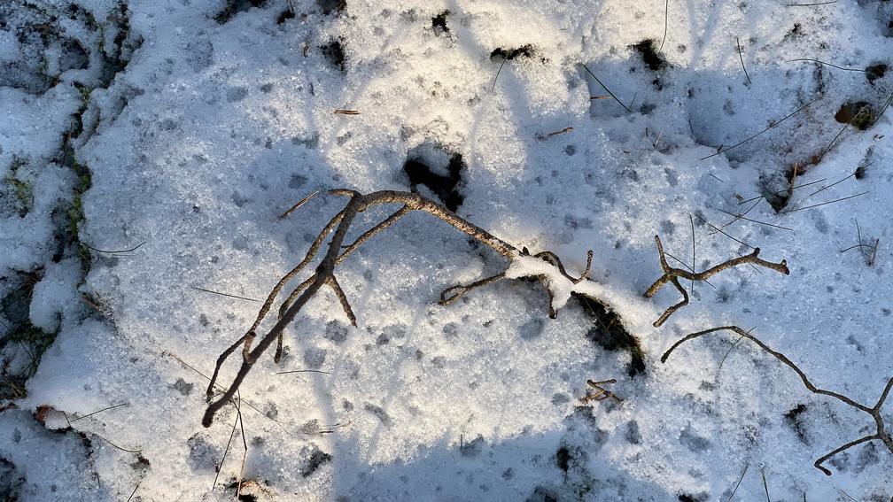 Auswahl  zum Foto des Monats Februar 2024