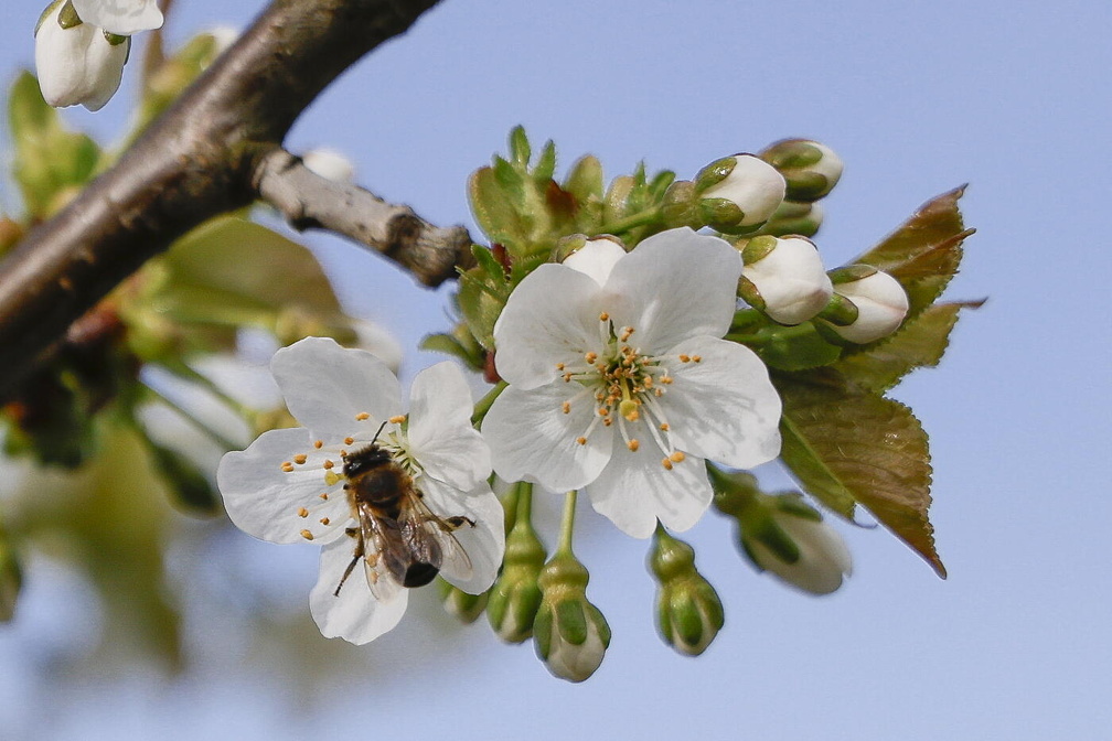 Osterbesuch einer fleißigen Arbeiterin
