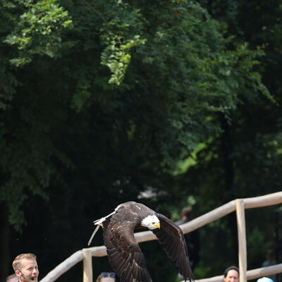 Tierpark Lüneburger Heide