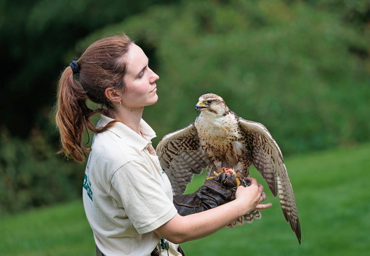 hschr R62 5002 Wildpark Lüneburger Heide