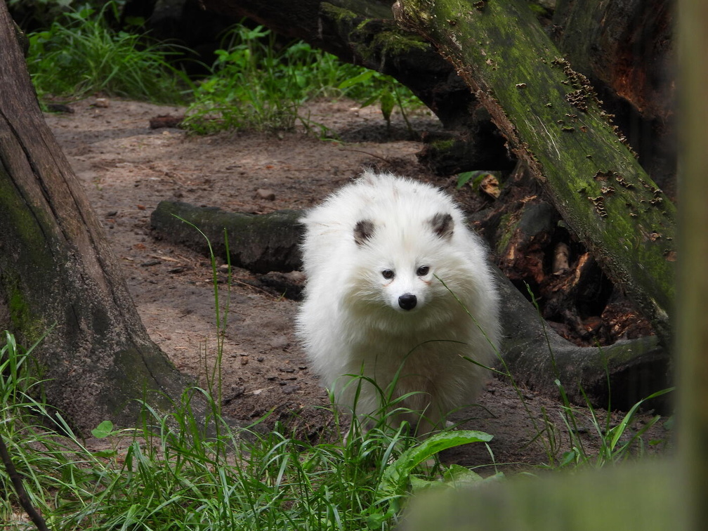 Auswahl  zum Foto des Monats Juli 2024