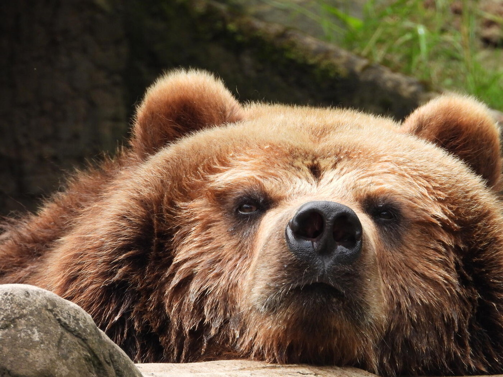 Foto des Monats Juli 2024