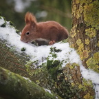 002Auswahl für Foto des Monats Jan