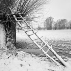 003Auswahl für Foto des Monats Jan