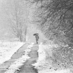 FOTO DES MONATS JANUAR