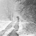 FOTO DES MONATS JANUAR