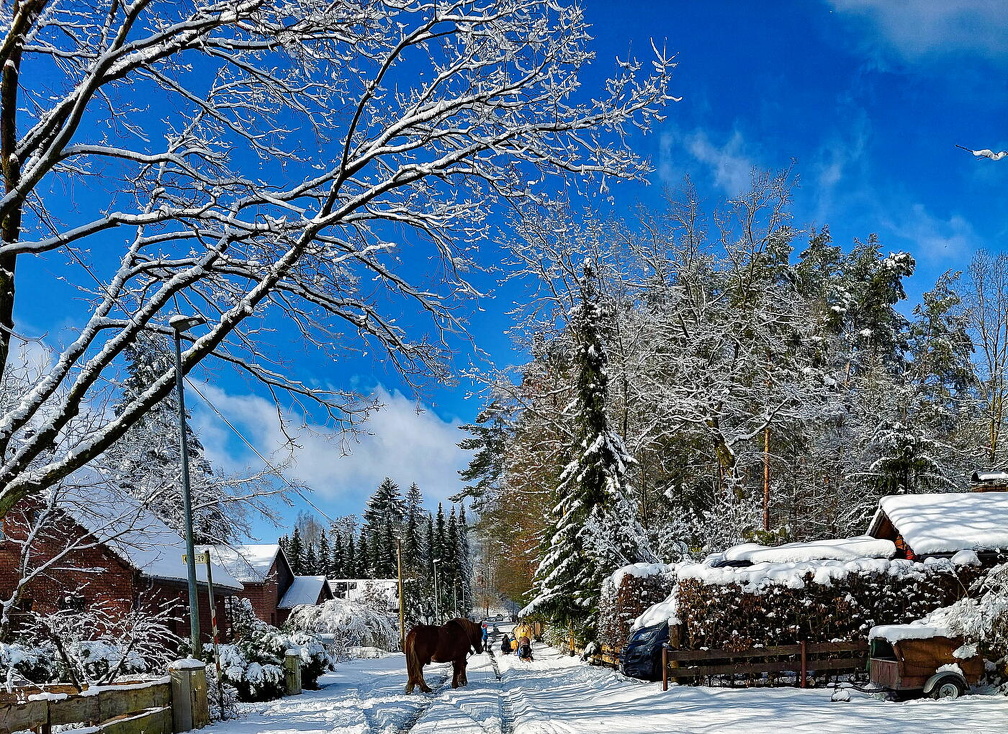 Auswahl für Foto des Monats Feb. 2025