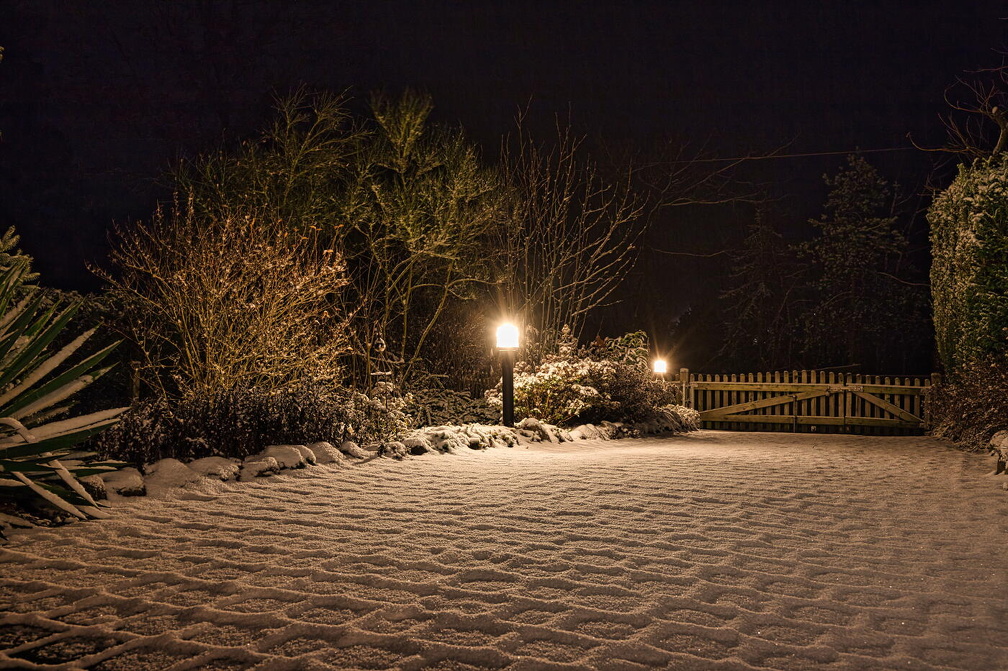 FOTO DES MONATS FEBRUAR 2025