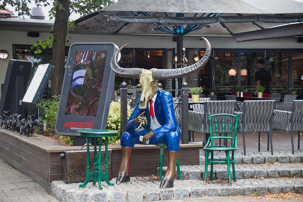 Auswahl für Foto des Monats Feb. 2025