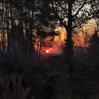 Auswahl für Foto des Monats Feb. 2025