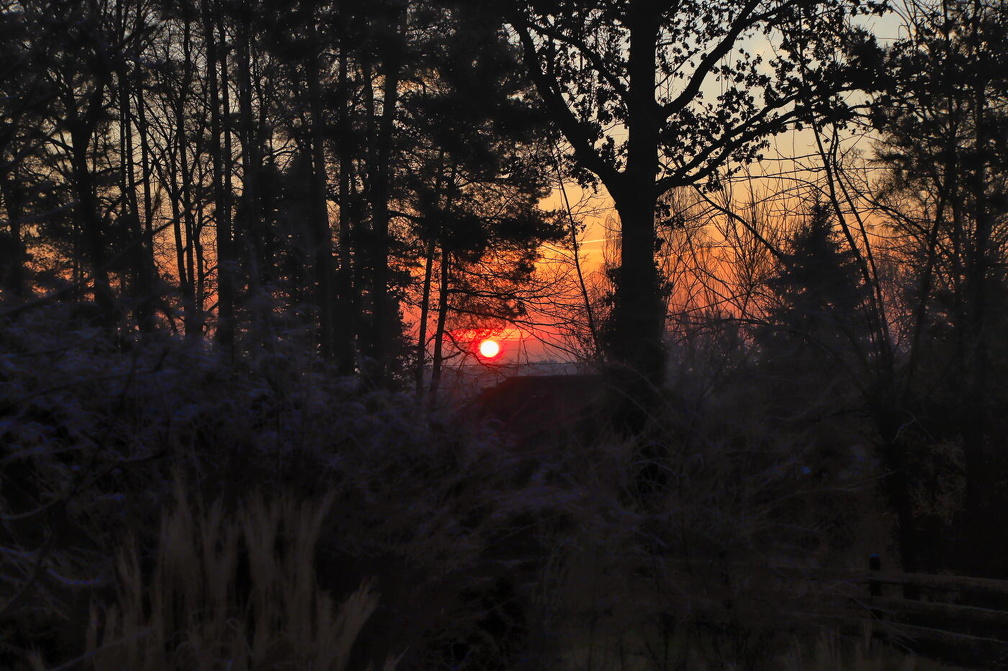 Auswahl für Foto des Monats Feb. 2025
