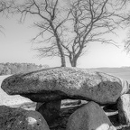 Auswahl zum Foto des Monats Juni 2025