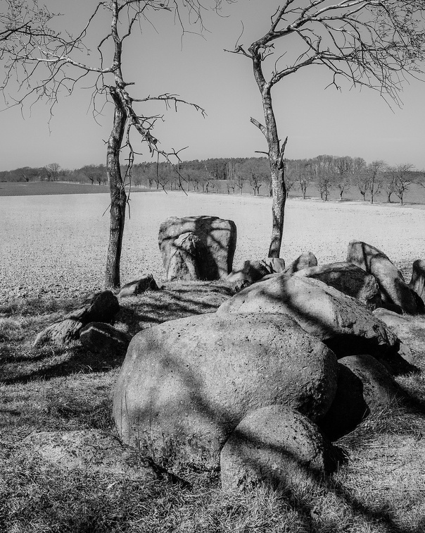 Auswahl zum Foto des Monats Juni 2025