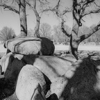 Auswahl zum Foto des Monats Juni 2025