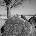 Auswahl zum Foto des Monats Juni 2025
