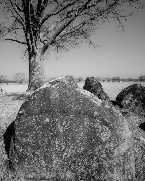 Auswahl zum Foto des Monats Juni 2025