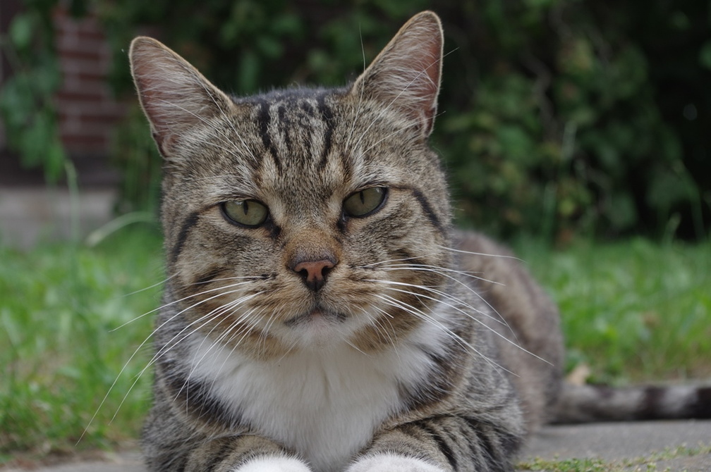 Auswahl Foto des Monats August 2025