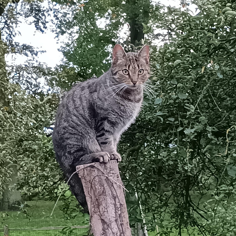 Auswahl Foto des Monats August 2025