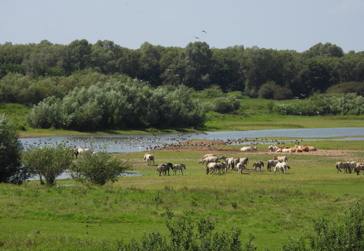 Auswahl zum Foto des Monats September 2025