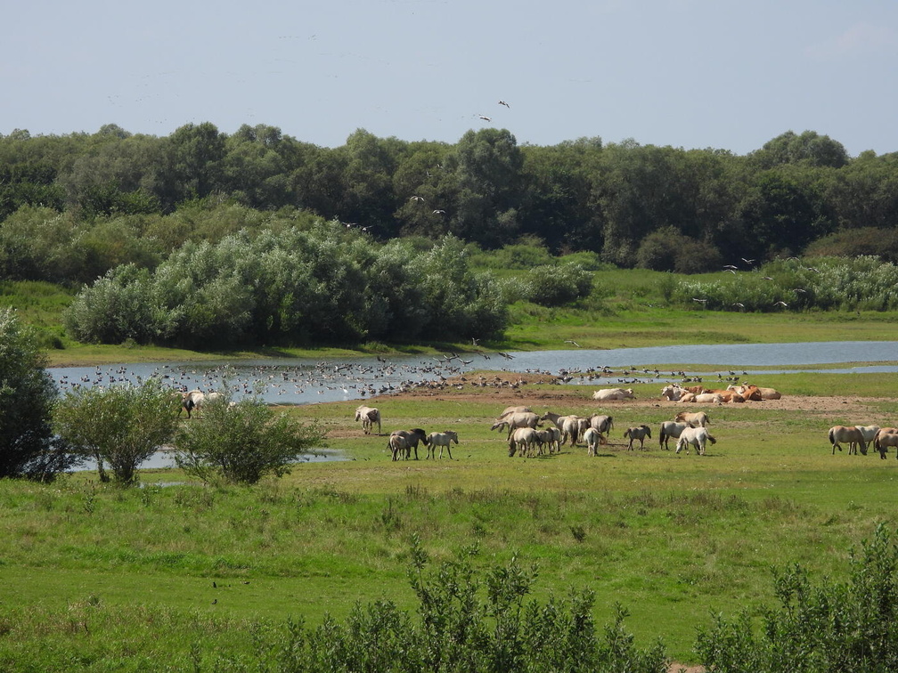 Auswahl zum Foto des Monats September 2025